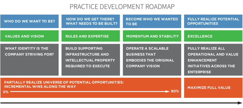 Practice development roadmap chart outlining company vision, expertise, stability, and excellence for growth and value realization.