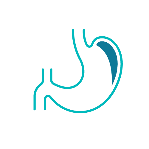 Stylized illustration of a human stomach, blue outline, representing gastroenterology or digestive health.