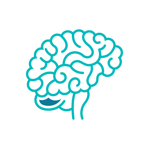 Illustration of a human brain, blue outline on black background, symbolizing neuroscience and cognitive research.