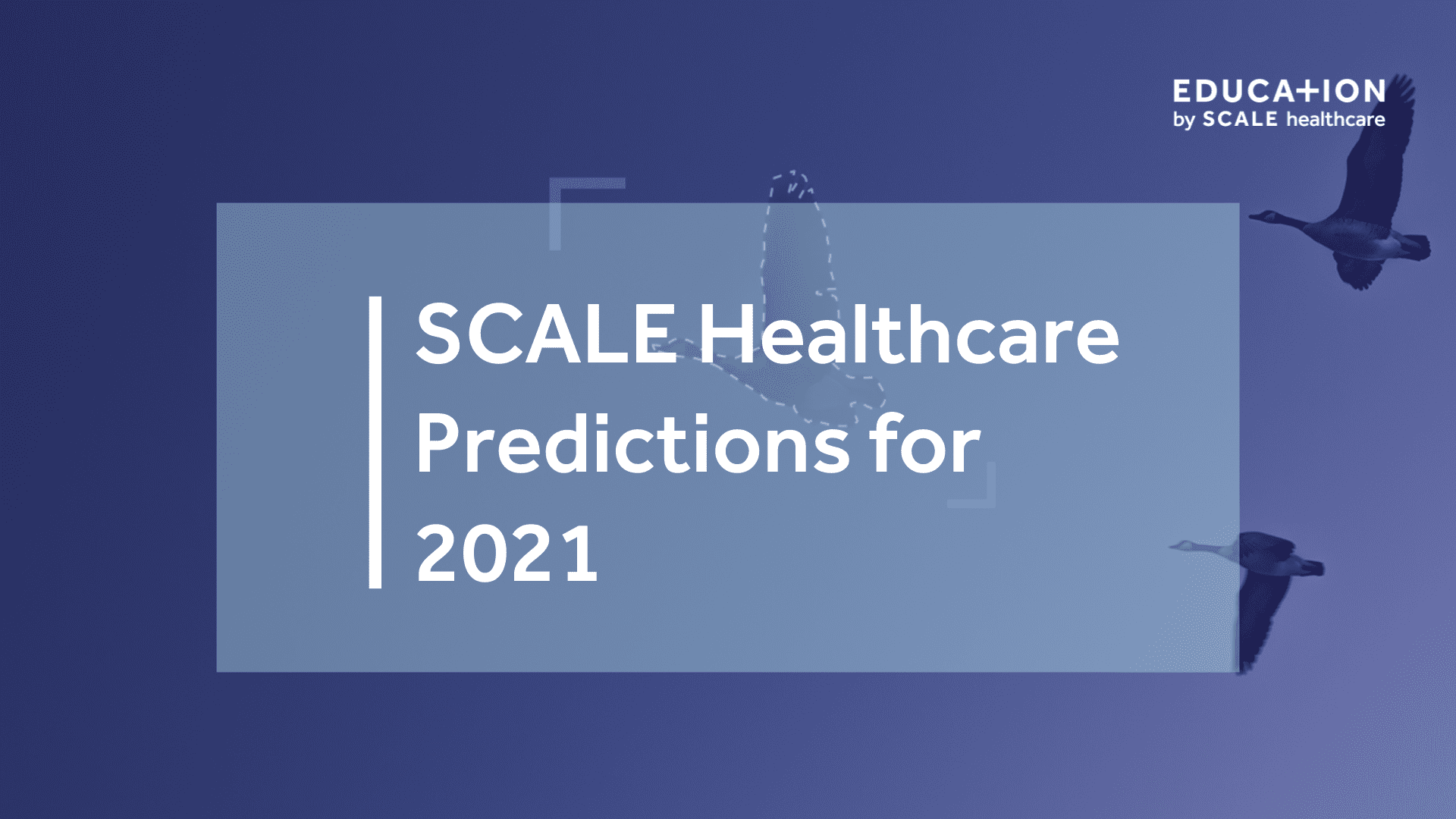 SCALE Healthcare 2021 Predictions Banner with Flying Birds on Blue Background.
