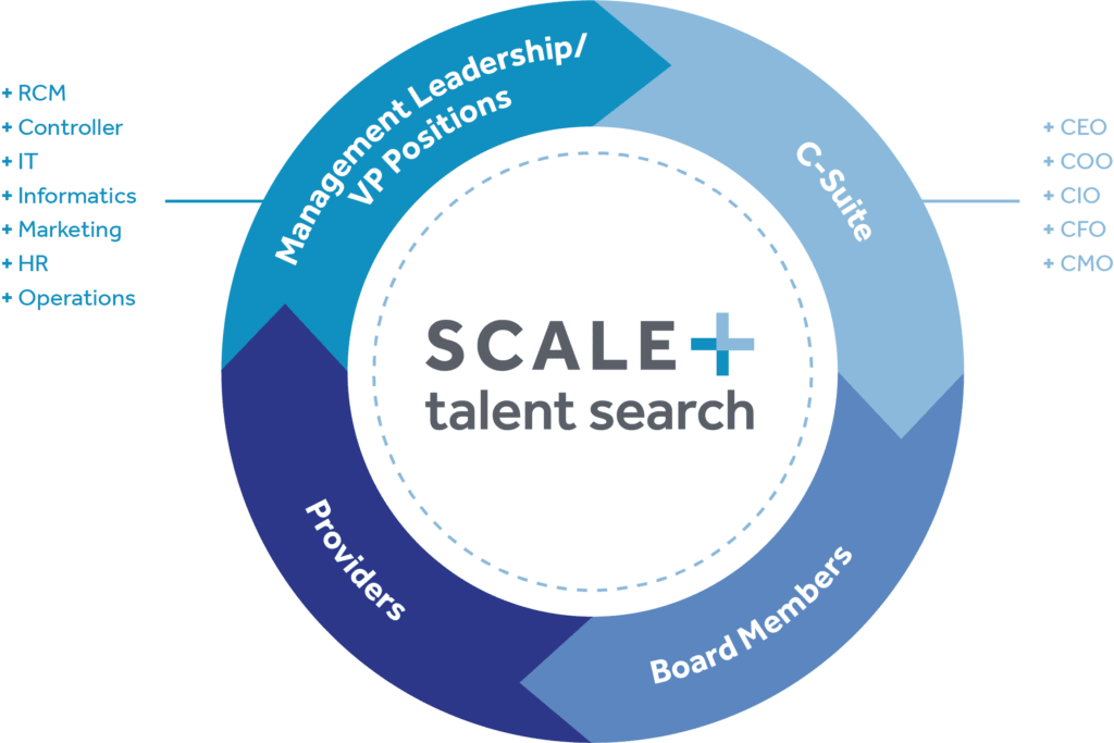 Talent search focus areas chart showing C-Suite, management, providers, and board roles in recruitment strategy.
