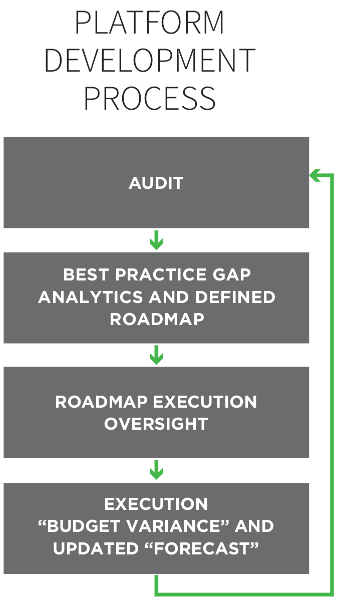 Platform development process flowchart showing audit, gap analytics, roadmap execution, and budget variance forecast.