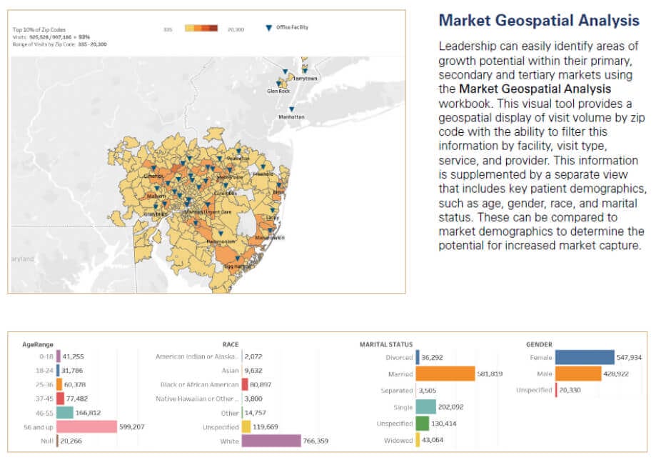 Market Geospatial Analysis map with demographic data, zip code visit volume, age, race, marital status, and gender statistics.
