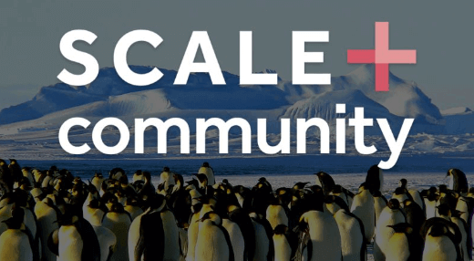 Penguins gather under "SCALE community" text with mountains in background, illustrating teamwork and unity in nature.